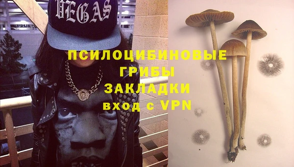 круглые Няндома