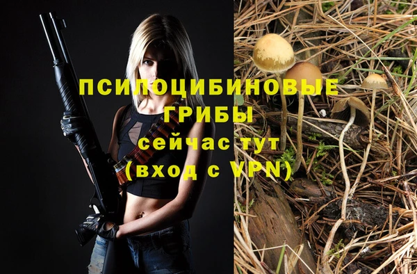 бошки Нязепетровск