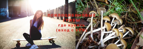 бошки Нязепетровск