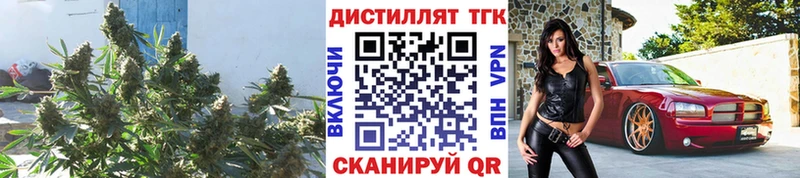дарнет шоп Новосибирск ТГК гашишное масло