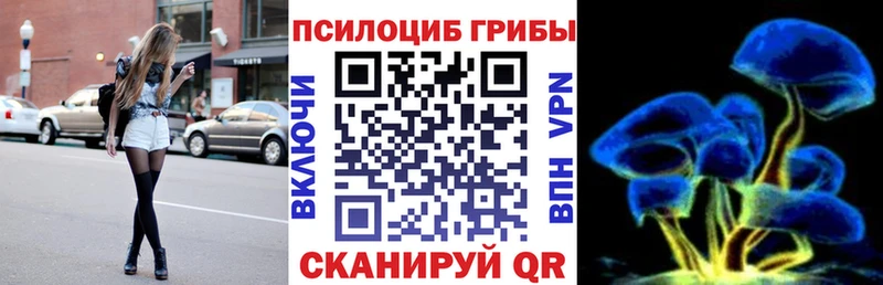 где найти   Новосибирск  Галлюциногенные грибы Psilocybe 