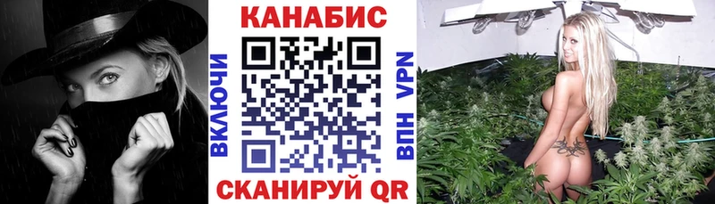 blacksprut зеркало  Новосибирск  Бошки марихуана SATIVA & INDICA 